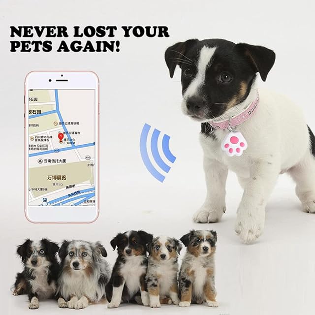 Foto 6 de 7 de Qutsvosh Mini dispositivo de seguimiento GPS para perros