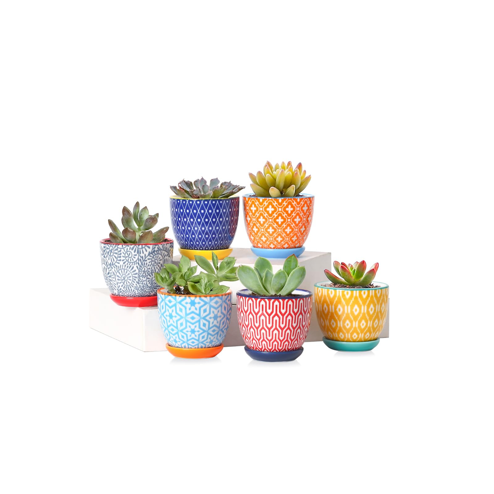 Selamica 6-Pack Assorted Colors