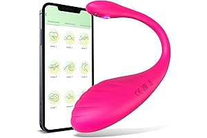 Vibrant Pleasure: Remote Vibrator for Intimate Explorations