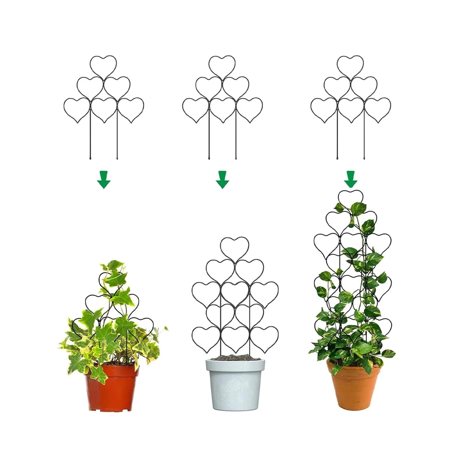 Kletterpflanzenstütze, herzförmiger Ständer, Zimmerpflanzen, Töpfe, Gartengeräte, Zubehör, Spaliere, Dekorationen, Zimmerpflanzen, Bonsai(Black)