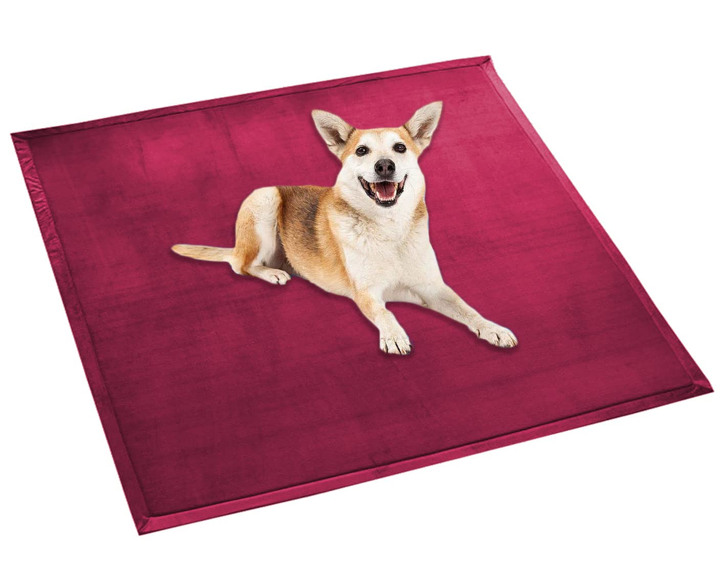 Waigg Kii Dog Bed Mat Soft Coral Velvet Large Pet Mat,Calming Cat Sleeping Mat Non-Slip Dog Mattress for Small Medium Large Dogs Cats (160x160cm,Wine Red)