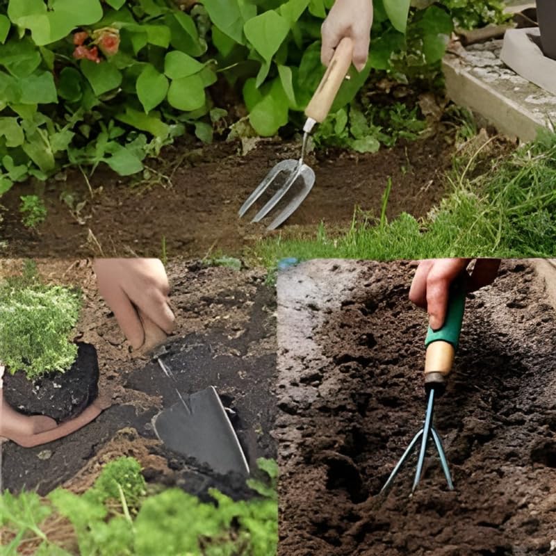 Image of 4 in 1 Gardening Tool Set - Trowel, Fork, Cultivator & Pruner with Wooden Handle for Digging, Planting, Weeding & Trimming