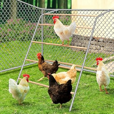 Large Chicken Roosting Bars with Swing (74.4"), Sturdy Metal Chicken Perch for Coop, Heavy Duty Jungle Gym Ladder for Hens, Entertainment Accessories & Toys for Backyard Poultry, Easy to Clean