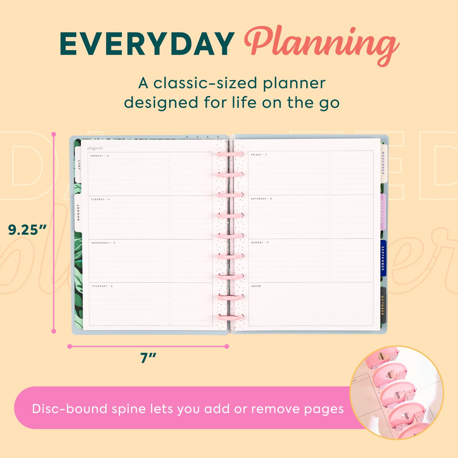 The Happy Planner Mystic Moths Sage Classic - Agenda de 12 meses con fecha de disco