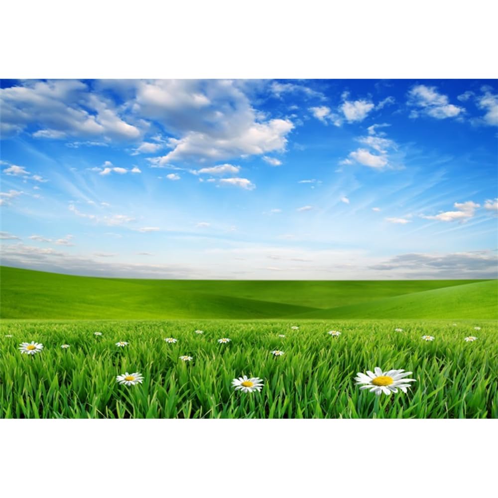 Laeacco 8x6ft Spring Grassland Landscape Backdrop Green Grass Meadow Daisy Flowers Photography Background Nature Scenery Outdoor Travel Adult Children