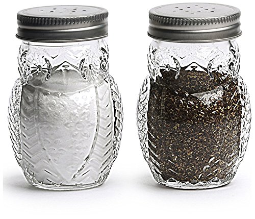 Circleware Hoot Owl Glass Salt and Pepper Shakers, Set of 2, 5 oz., Clear
