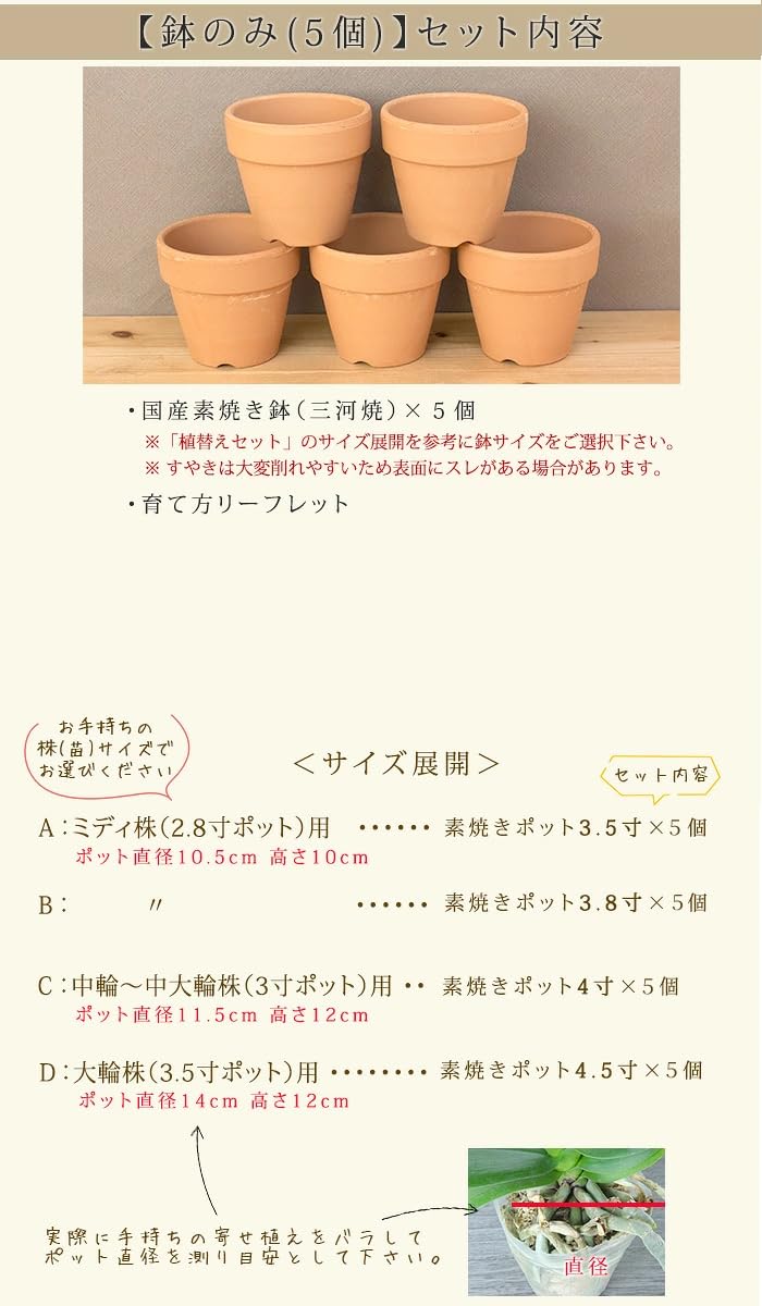 Amazon.co.jp: iファーマーらんぼ 胡蝶蘭 植替えセット 鉢のみ（4号鉢