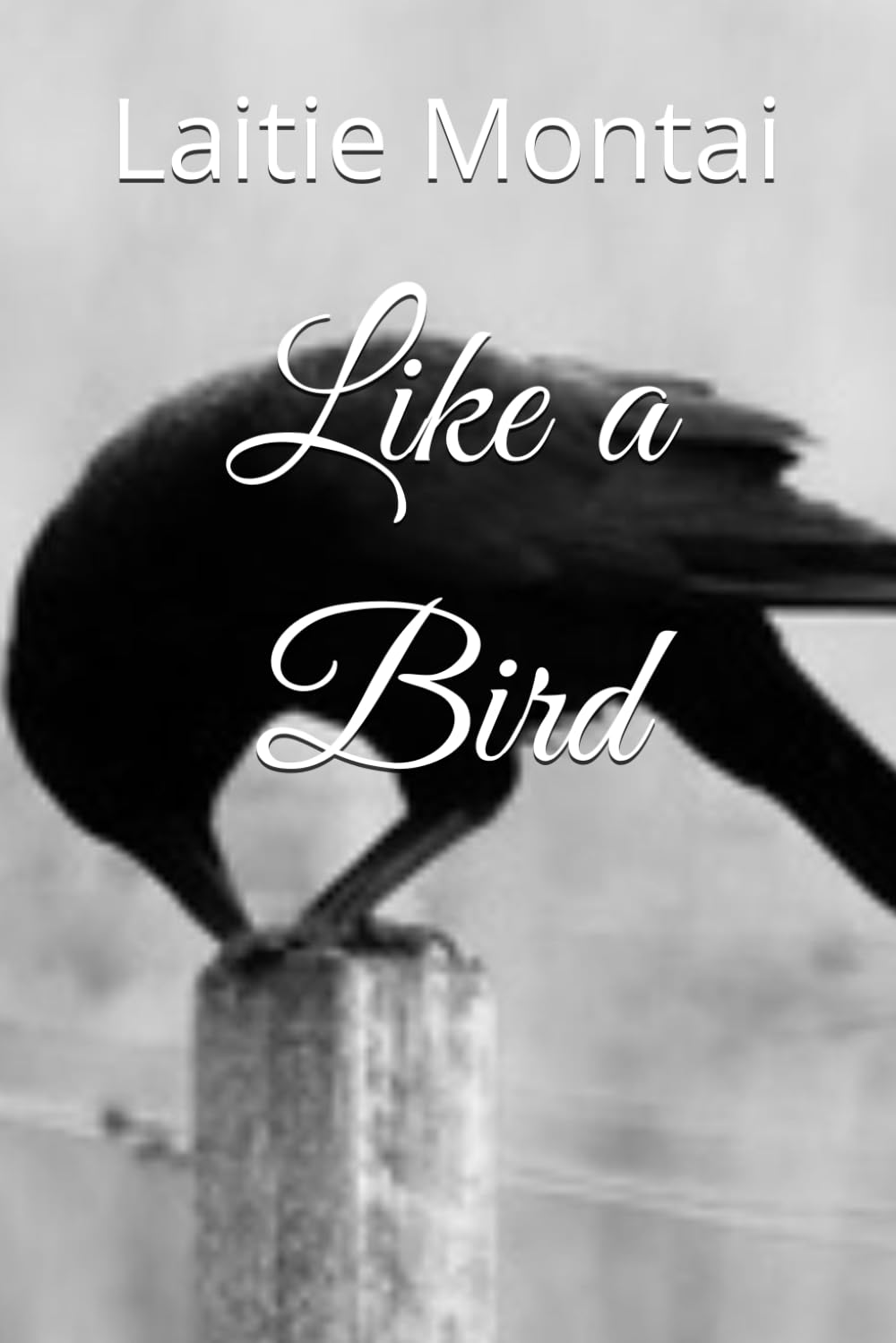 Like a Bird