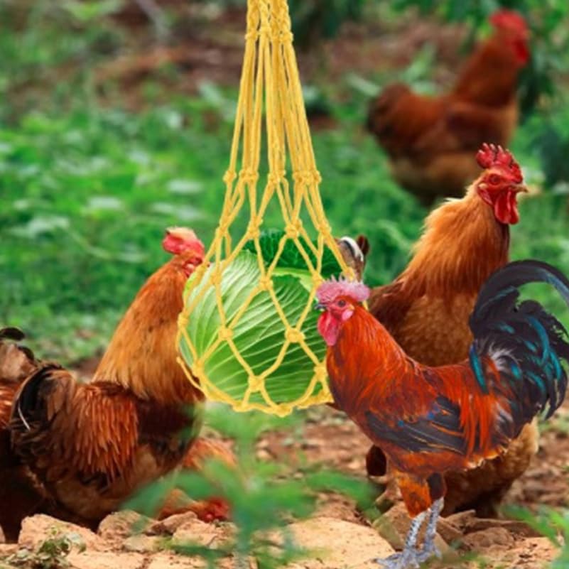 Sac d'alimentation pour poule propre pour protéger la nourriture du sol humide - 3