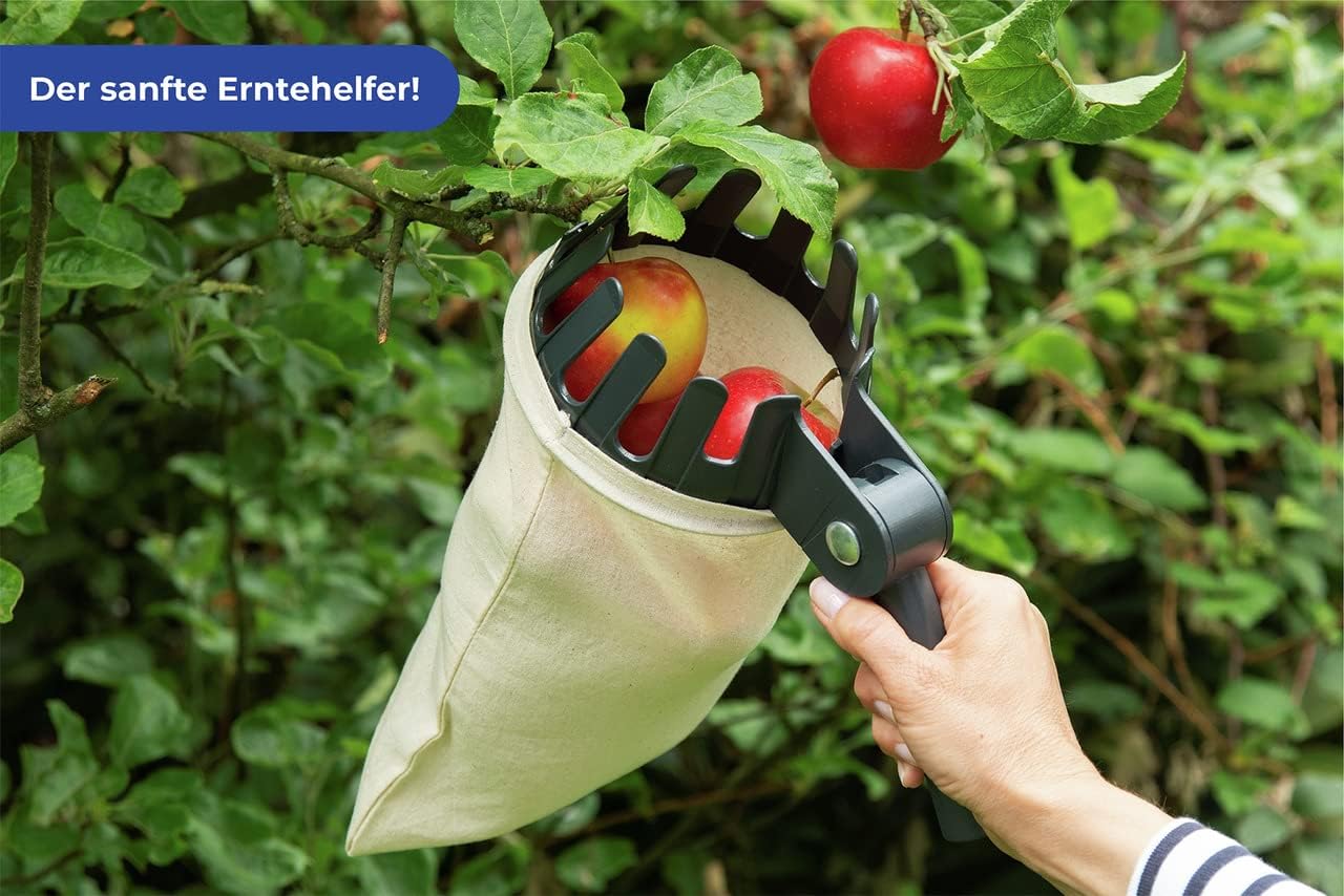 Wenko Fruit Collector XL