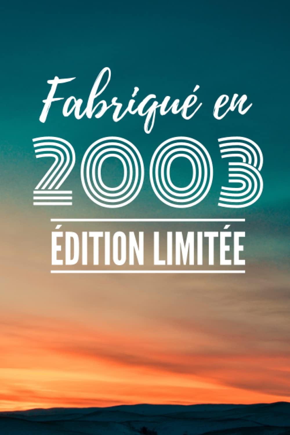 Fabriqué en 2003: Carnet de notes ligné, Cadeau Anniversaire Humour pour Homme et Femme née en 2003 - 110 pages - 15.24 x 22.86 cm (French Edition)
