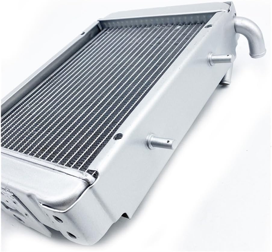 Water Radiator With Fans Fit For 260cc 300cc LH260 LH300 Atv Quad Parts