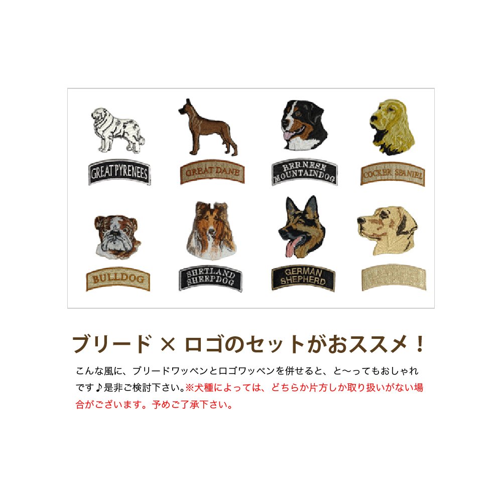 犬ワッペン、シェルティワッペン【見本】 Amazon.co.jp: 【犬種別】ブリード刺繍ワッペン シェルティ （顔