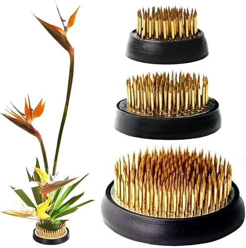 3 ranas de flores para suministros de arreglos florales, arreglos florales japoneses Ikebana Kenzan, ranas de alfiler para flores con base de goma,
