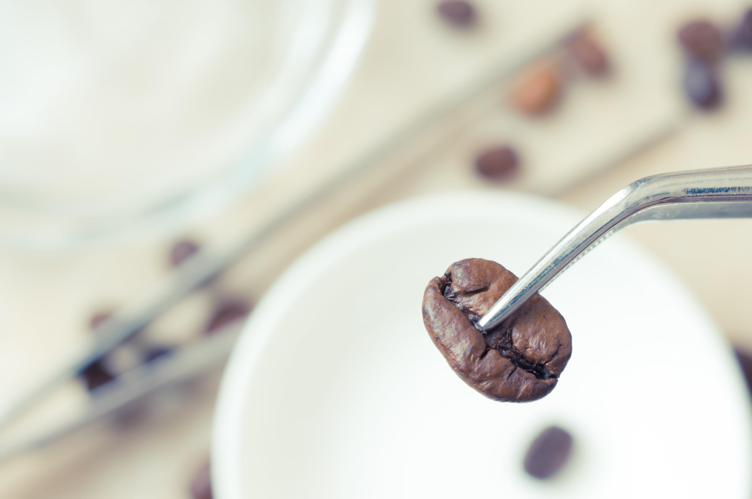 NIK CAFE' - Miscela Classica - caffe in grani tostato. Sua Eccellenza la robusta. 100% Robusta