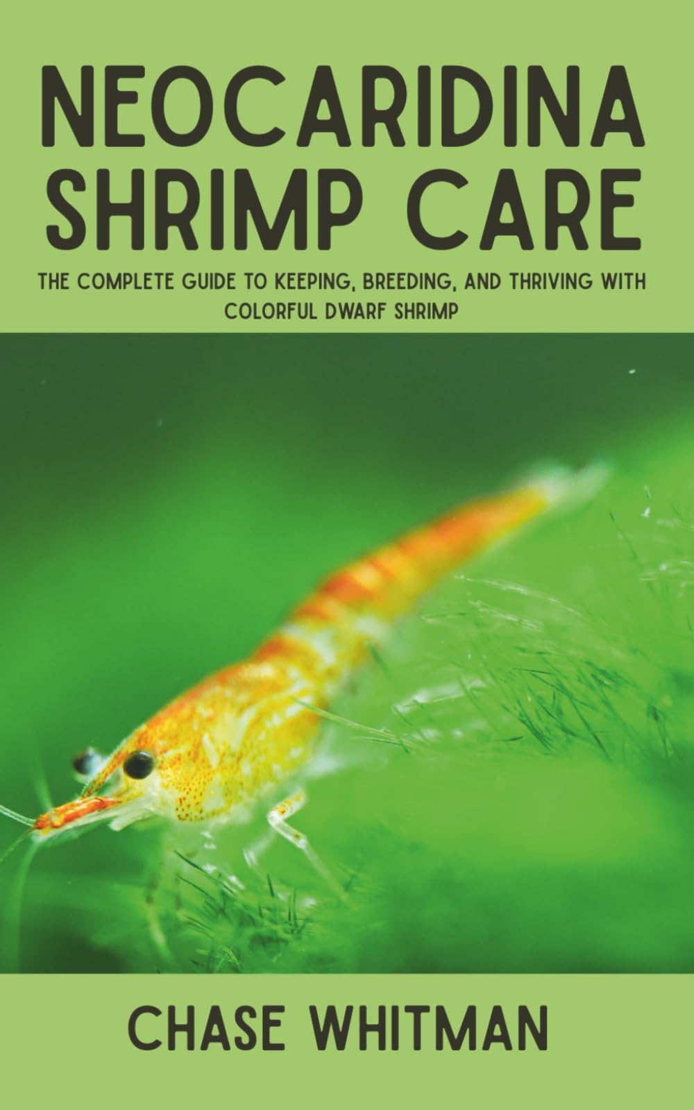 Neocaridina Shrimp Care: The Complete Guide to Keeping, Breeding, and Thriving with Colorful Dwarf Shrimp