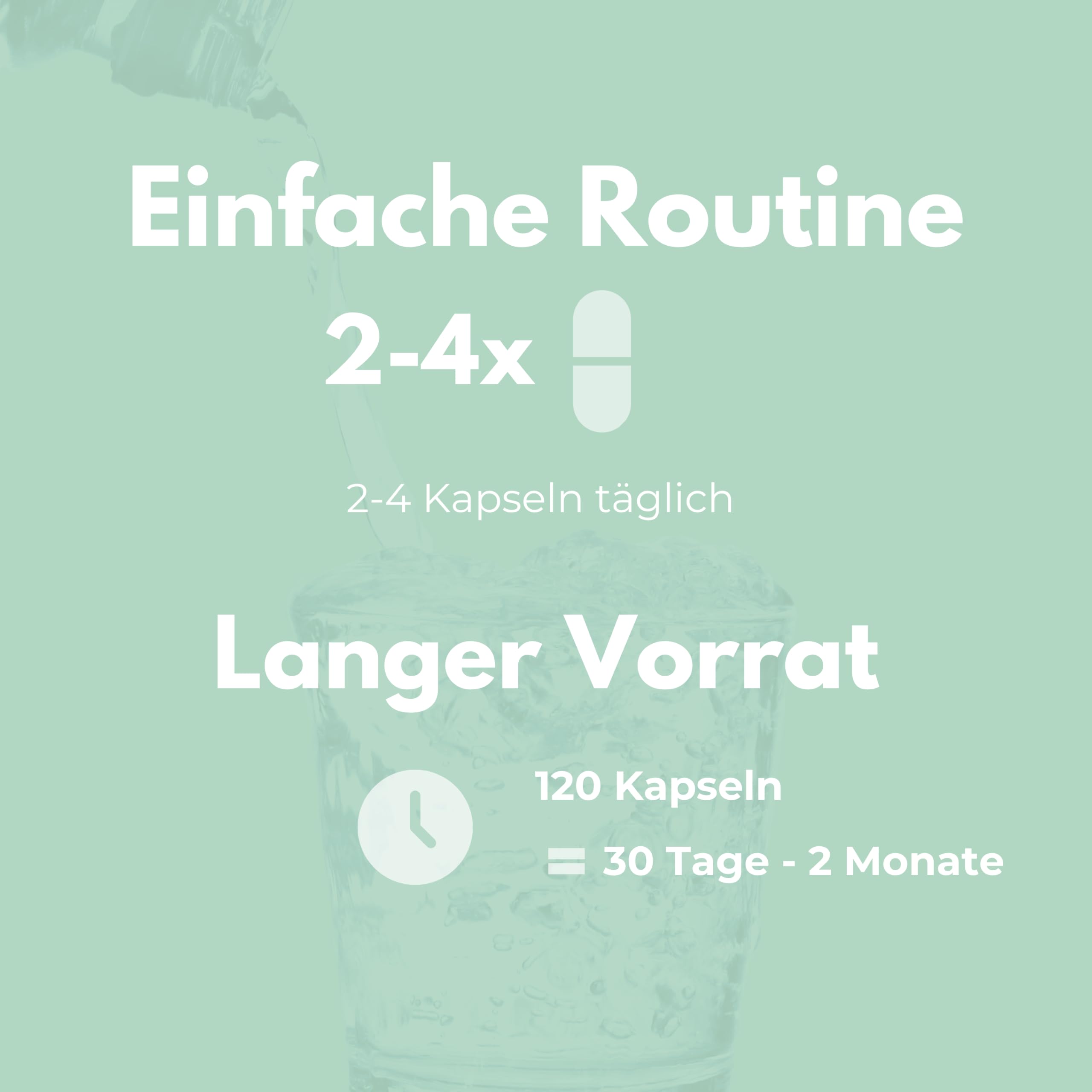 Vitalplant® Weihrauchkapseln hochdosiert im Braunglas - 600mg indisches Boswellia Serrata mit 90% Boswelliasäure in jeder Weihrauch Kapsel - 120st. Ohne Zusatzstoffe & rückstandskontrolliert