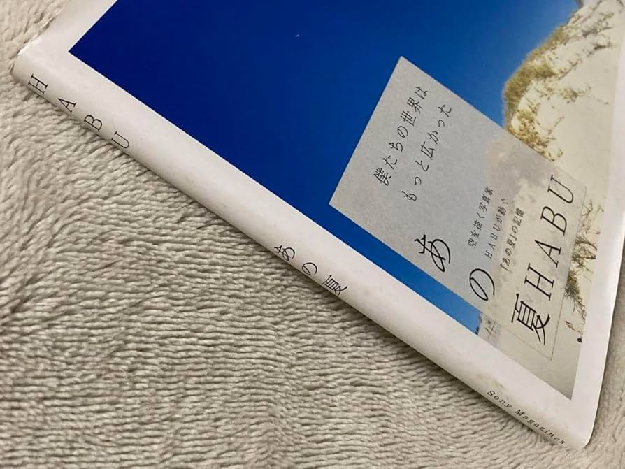 Amazon.co.jp: カバー 初版 空を描く写真家 HABU 写真集 あの夏 羽生