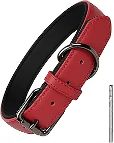 Lmlpt Coleira de couro para cães, macia, acolchoada, resistente, coleira confortável para animais de estimação básica com fivela de metal ajustável à prova de ferrugem, melhor presente para cães