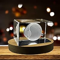 Vista 3 de Arte de ojos para oftalmólogos Recuerdo de cristal grabado en 3D Regalo para doctor Coleccionable Recuerdo Regalo personalizado con foto