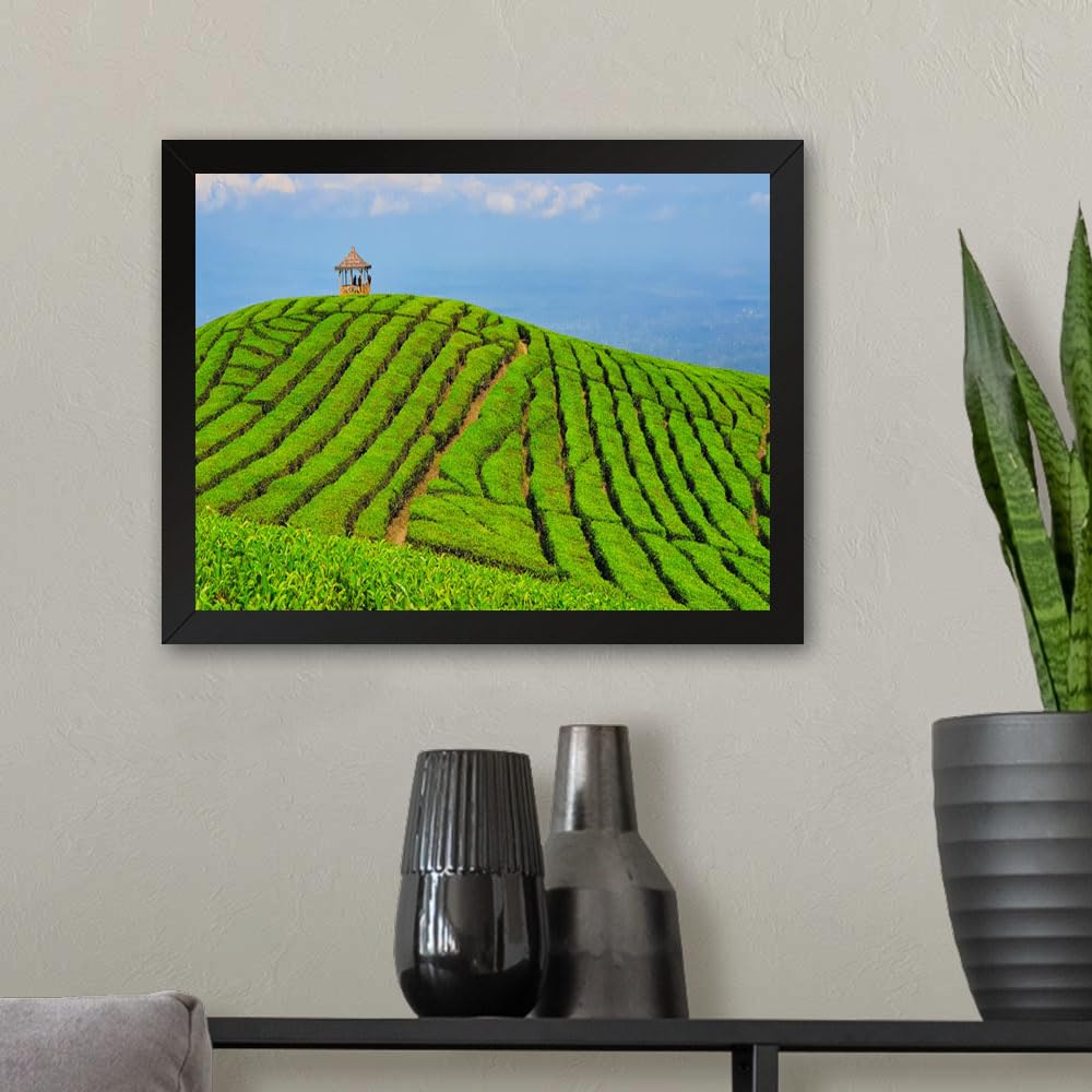 GADGETS WRAP Printed Photo Frame Matte Painting for Home Office Studio Living Room Decoration (11x9inch Black Framed) - Paddy Field Scenery
