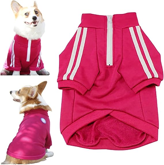 Amazon Co Jp Yolaird ペット 服 冬 小型犬 可愛い おしゃれ 二足 コート 小中大型犬 通気性 ペット服 散歩 可愛い犬の服 パーカー 秋冬服 中小型犬猫 運動シャツ ペット用 コーギー パグ服 お出掛け用 ペット用品