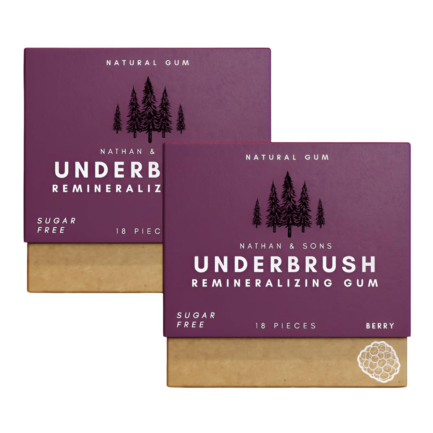 Underbrush Berry Remineralizing Gum, Sugar Free Xylitol Gum with Hydroxyapatite, Supports Fresh Breath and Oral Health, Tree Sap Base, Gluten Free, No