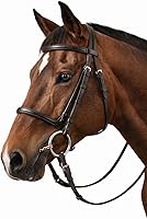 Vista 4 de ProRider Caballo 6" SS anillo suelto trenzado alambre Snaffle caballo bit 35479D