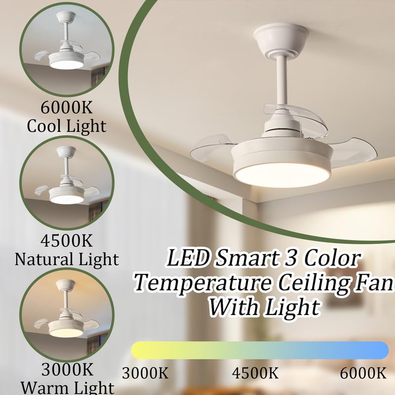 Plafonnier avec ventilateur LED 10in et sa télécommande blanche