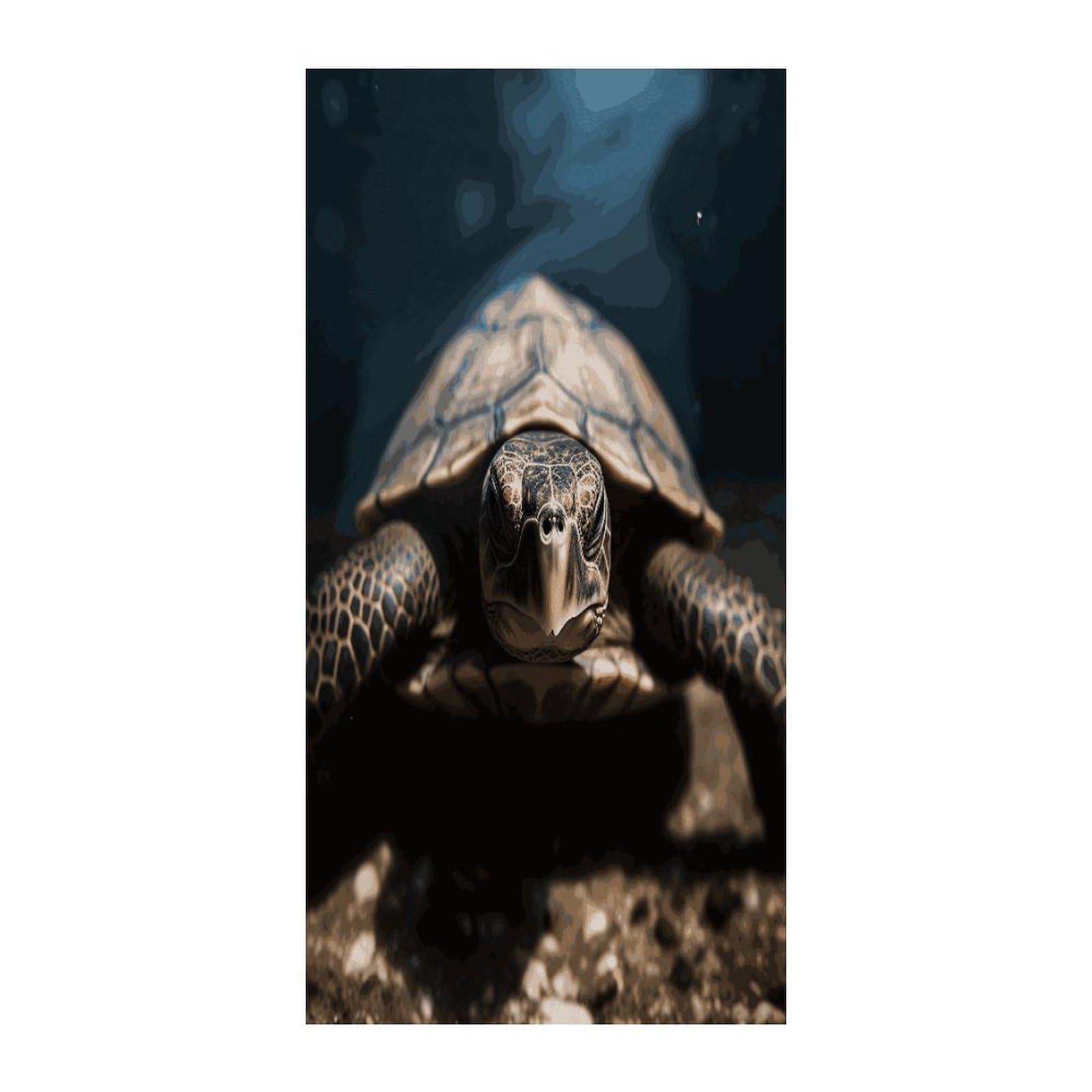 Fekiloot Style Animal Tortoise Door Curtain Room Divider Curtains
