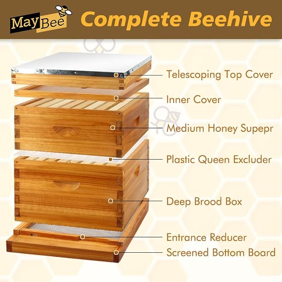 MayBee 8 Frame Screened Bottom Board Beehive Dipped in Original Beeswax, Bee Hives Kit Includes 1 Deep Box & 1 Medium Hive Box with Beehive Frames and Wax Coated Foundations