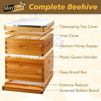 MayBee 8 Frame Screened Bottom Board Beehive Dipped in Original Beeswax, Bee Hives Kit Includes 1 Deep Box & 1 Medium Hive Box with Beehive Frames and Wax Coated Foundations