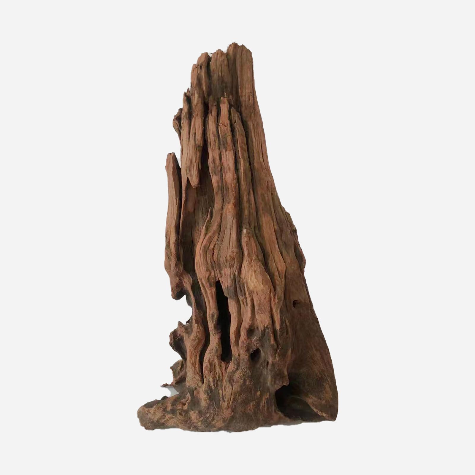 LYPHARD AQUARIUMS Legno naturale per acquario, 45,7-61 cm, rami assortiti per pelli di rettili, acquario, 1 pezzo