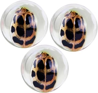 GLEAVI Protection 3pcs Amber Amber with Utensils Child Specimen Protect