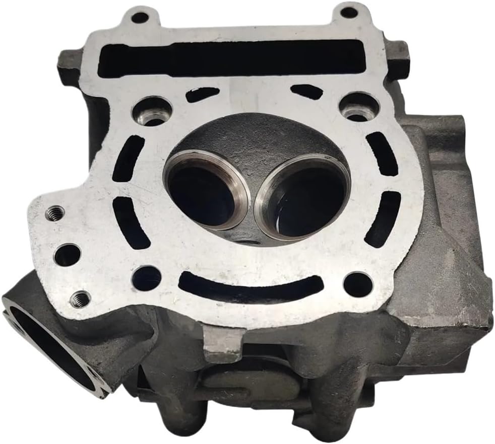 Cylinder Head Assy Compatible with Water Cooled Engine LH250 260 Scooter ATV UTV 22401A YP250 spare parts
