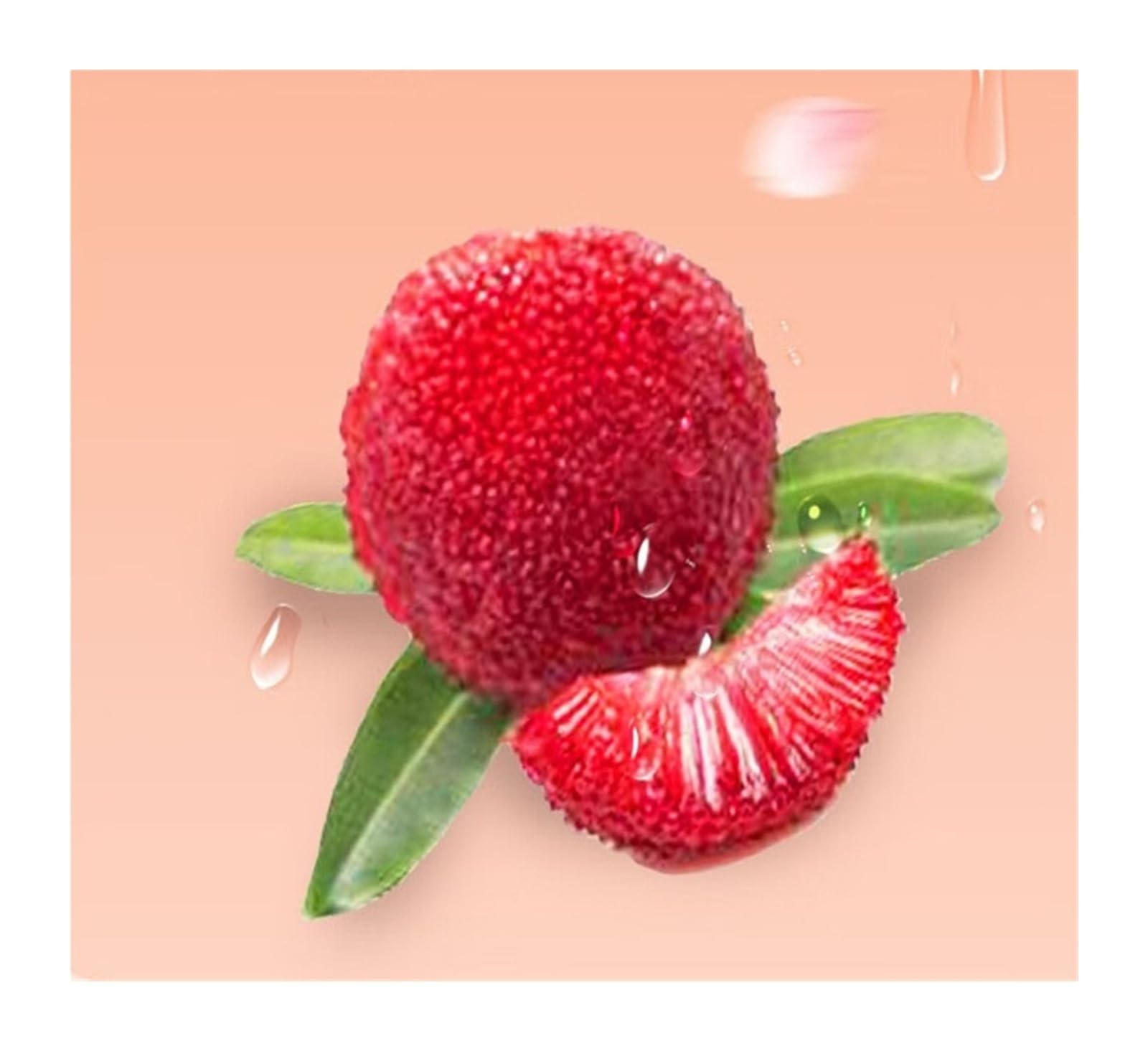 100 g di frutta Waxberry, frutta candita a polpa spessa, una delizia agrodolce che soddisfa le tue voglie.(4bag)