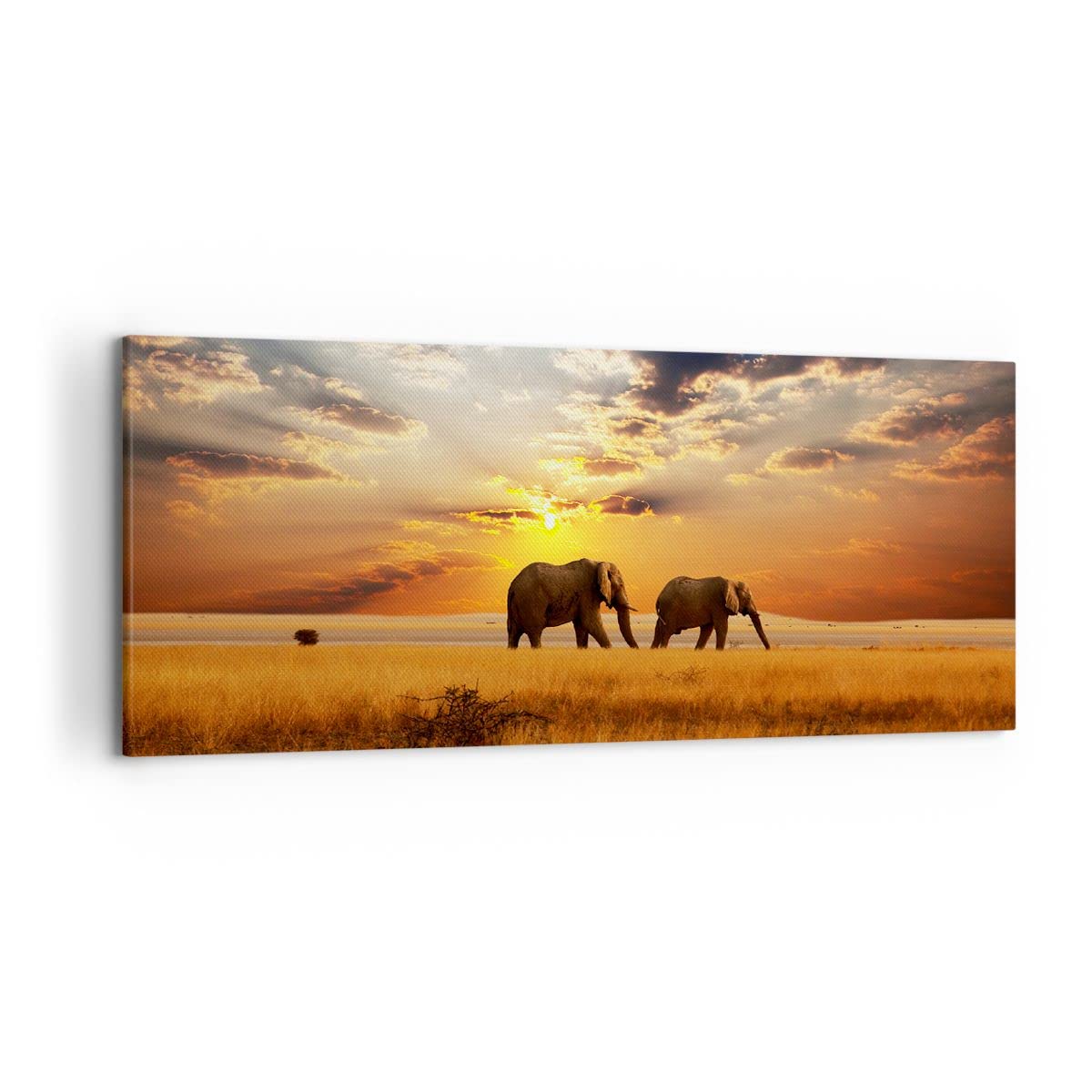Lienzo Decorativo 120x50cm Moderno Panorámico Paisajes Naturaleza - 3150