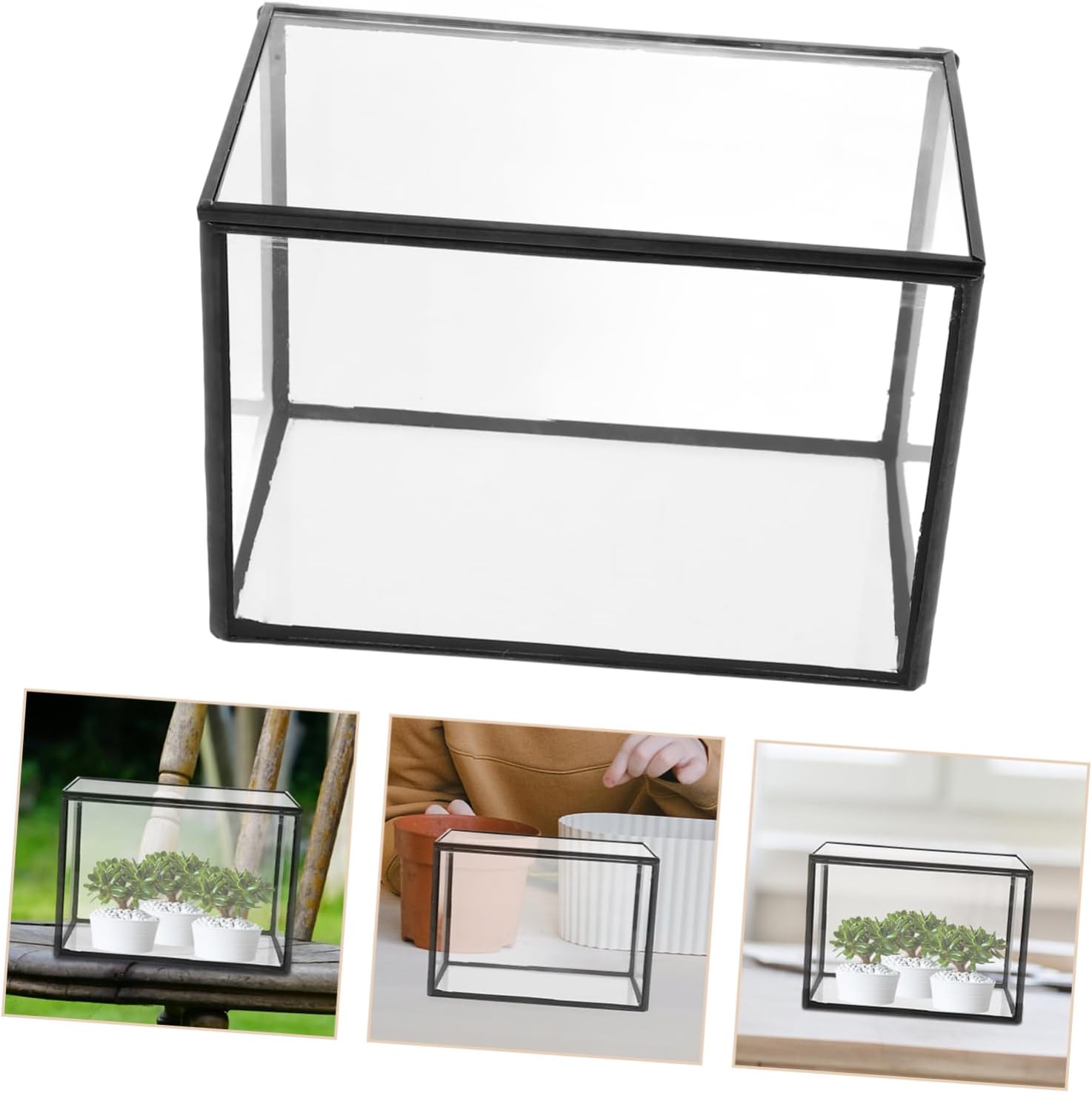 DIY Moss Terrarium Glass Holder Clear Planter for Micro Landscape Display Artistic Home Decor for Office Room Bedroom Cafe Multi Functional Glass Container for Plants Organizing