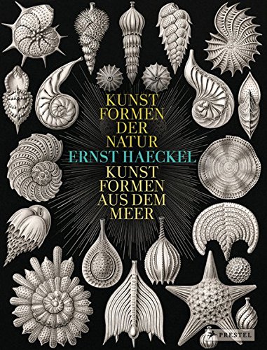 Ernst Haeckel: Kunstformen der Natur - Kunstformen aus dem Meer