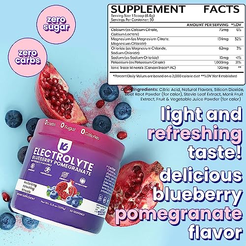 Keppi Keto Electrolytes Powder No Sugar | Zero Carbs | Made In Usa | Advanced Hydration, Performance & Recovery | Delicious Blueberry Pomegranate Electrolyte Powder | Mixes Easily No Clumps #TOP3