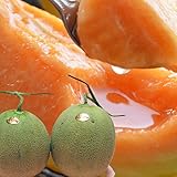 【2026年収穫予約】夕�