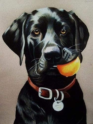 Miniatura 1 de Kit de pintura de diamante de labrador de perro negro para adultos y niños, pintura de diamante 5D, manualidades para decoración de pared del hogar,