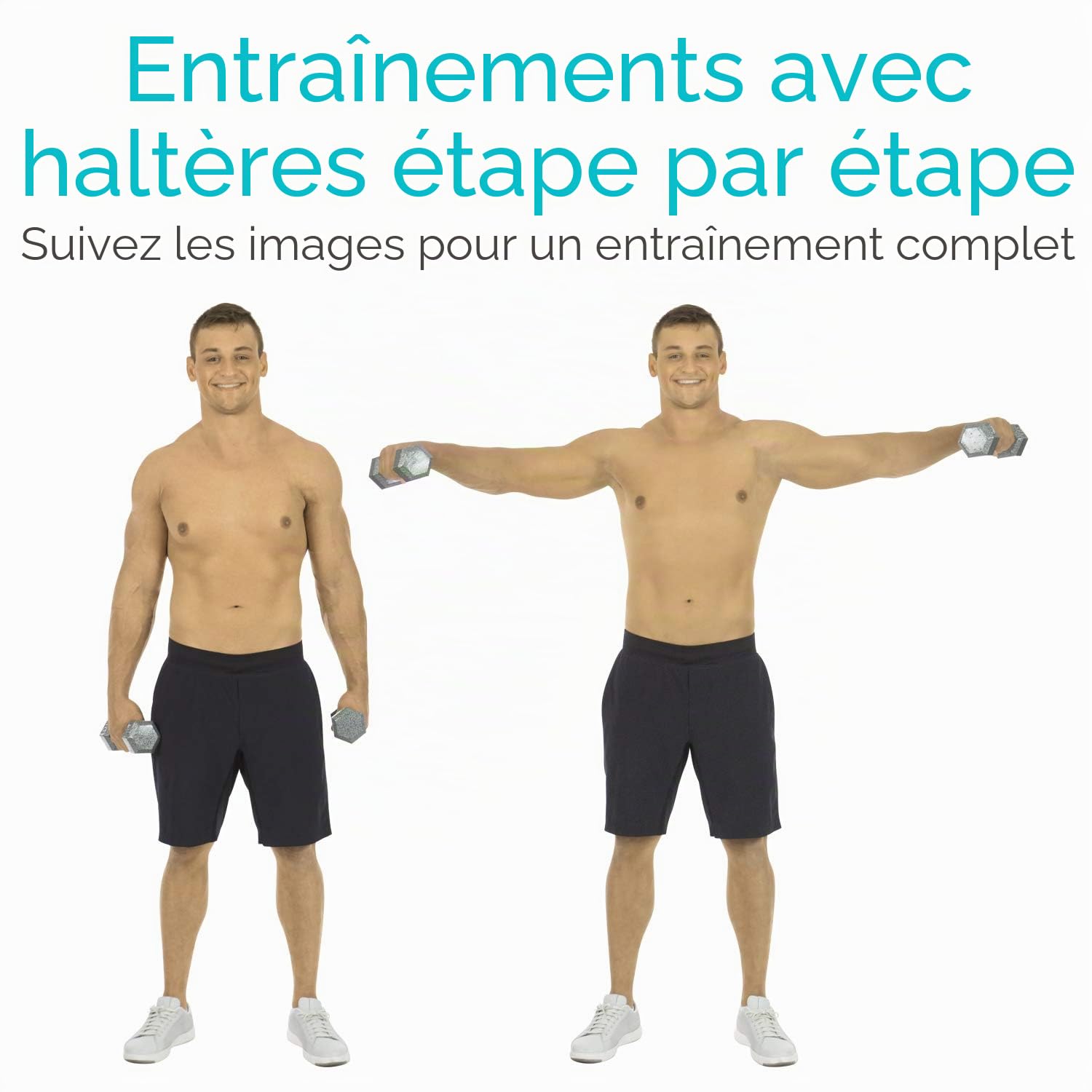 Vive Affiche d'exercices d'haltères Entraînement à domicile pour le haut, le bas et le corps - Tableau de poids corporel plastifié pour le dos, les bras, le tronc et les jambes (76,2 x 43,2 cm)