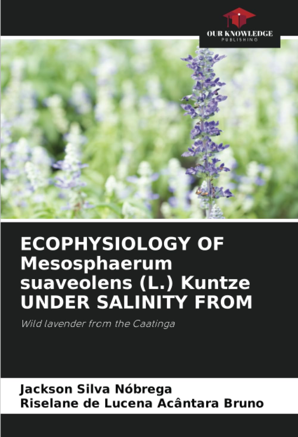 ECOPHYSIOLOGY OF Mesosphaerum suaveolens (L.) Kuntze UNDER SALINITY FROM