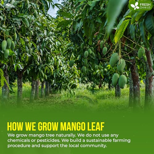 Image of FreshDrinkUS, Premium 8oz Mango Leaves Powder, 100% Natural & Pure, Herbal Tea, Daily Infusion Botanical, No Sugar, No Caffeine, No Gluten, Vegan. Rich in Antioxidants.