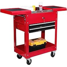 Toolbox Rolling Garage Workshop Tool Organizer with Directional Wheels, 2 Drawer Tool Chest Tray with Top Work Surface and Storage Push Cart Tool Box