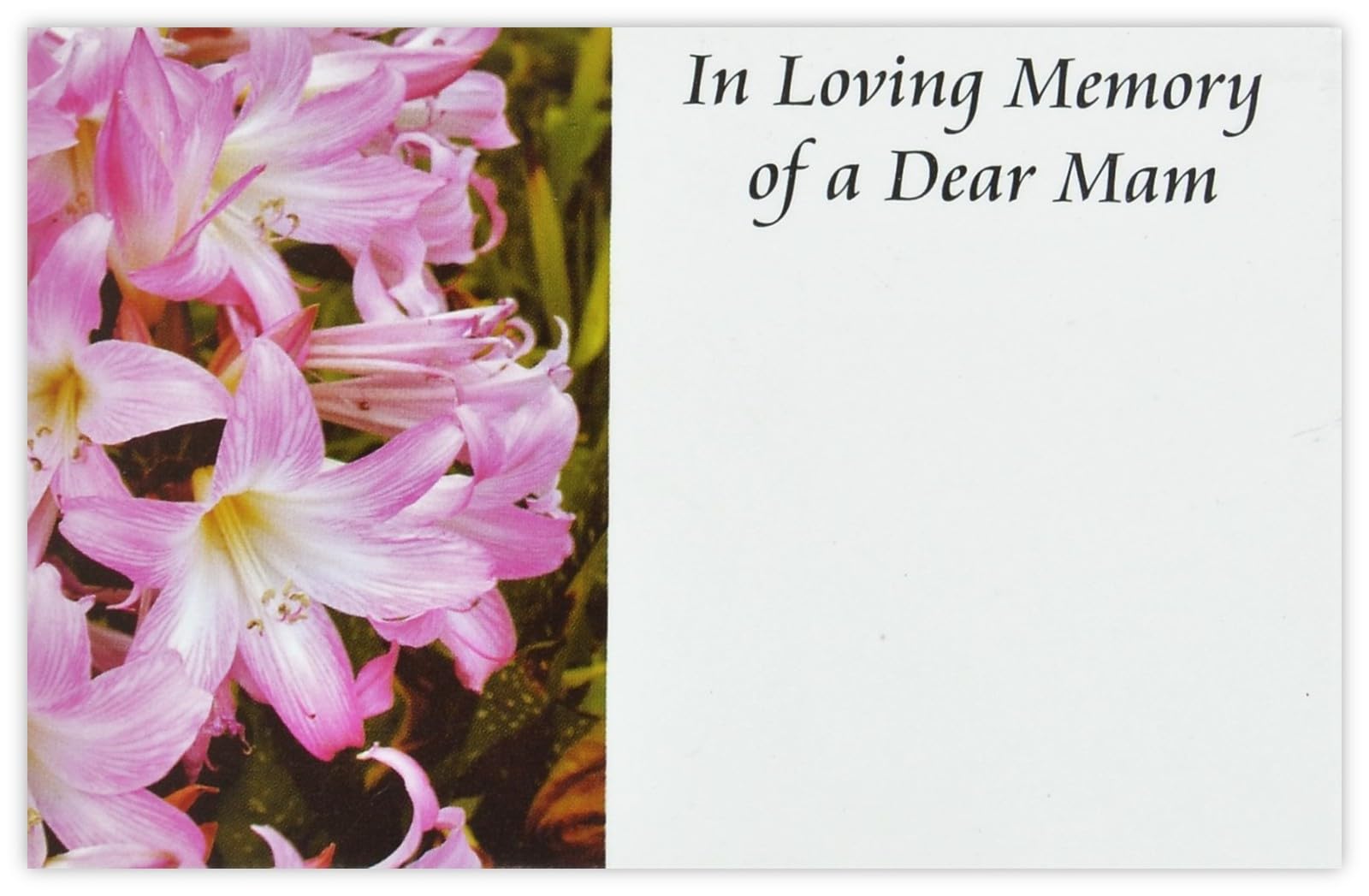celloexpress In Loving Memory Mam (Pink Lilies) Flower Message Cards - 60mm x 90mm - Bereavement Florist Card Sympathy Condolences Notes (Pack of 100)