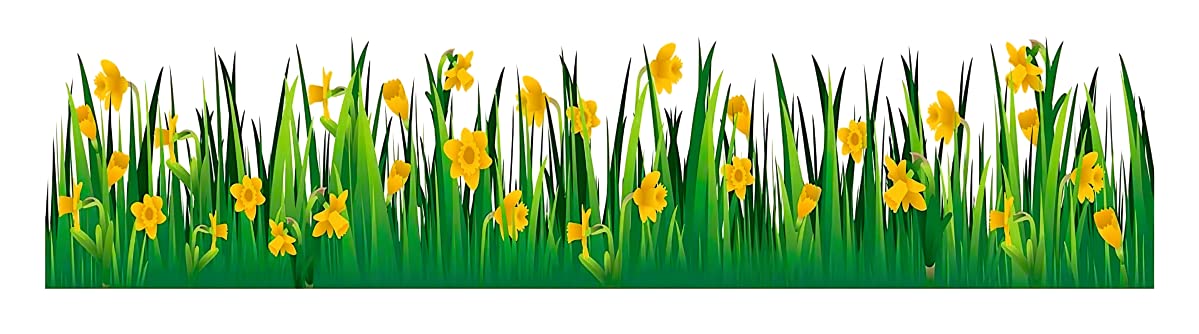 Akki Wold Green Grass with Flower Wall Sticker for Kids Living Room Bedroom for Home Hall Decor Wall Sticker (Size - 27 cm X 90 cm) (B0BFMB4FV5) Amazon Price History, Amazon Price Tracker