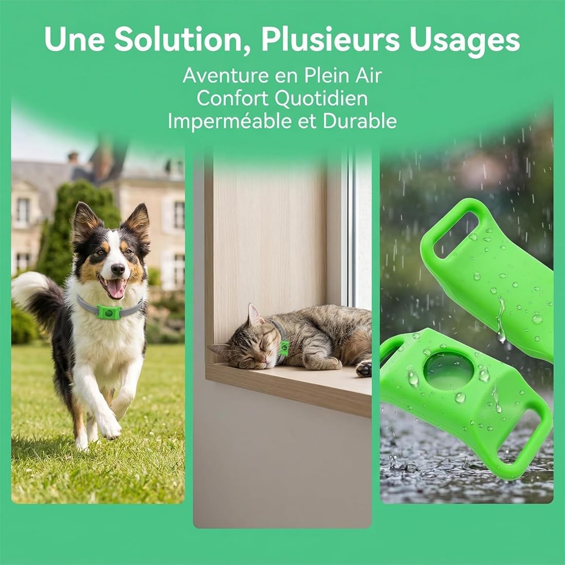 Collier répulsif Anti-puces et tiques pour Animaux, Protection Naturelle 12 Mois pour Chiens, 4 Capsules Remplaçables, Réglable, sans Contact Direct avec la Peau (F)