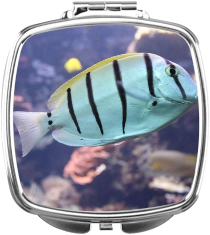 black T Cheap Compact Mirrors Manini Personalised Compact Mirror Owner Diy Makeup